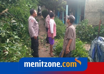 MENITZONE.COM_20251104_120316_0000